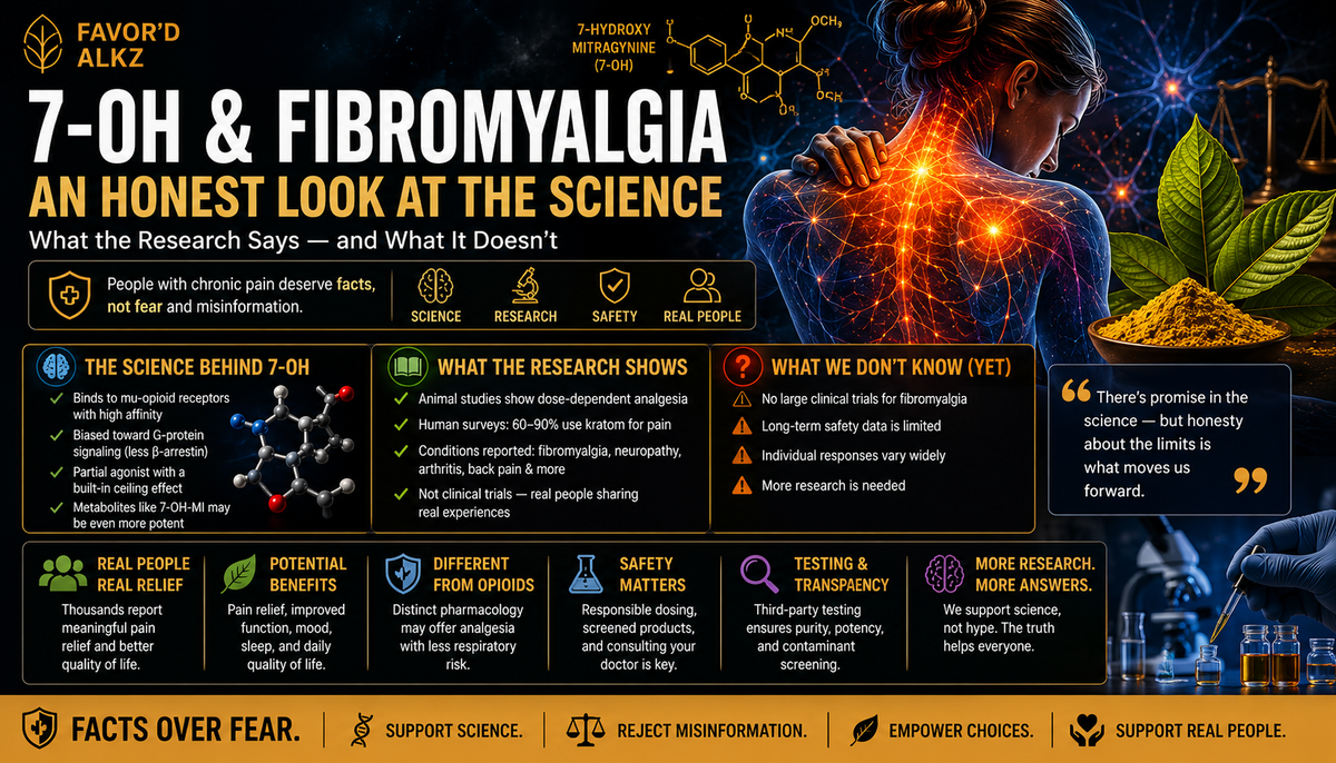7-OH and Fibromyalgia — research overview